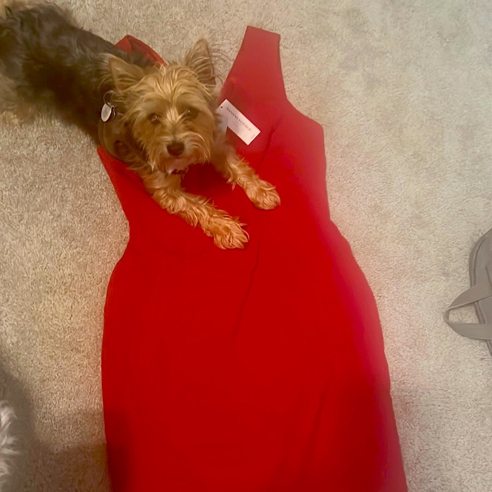 Sheath dress